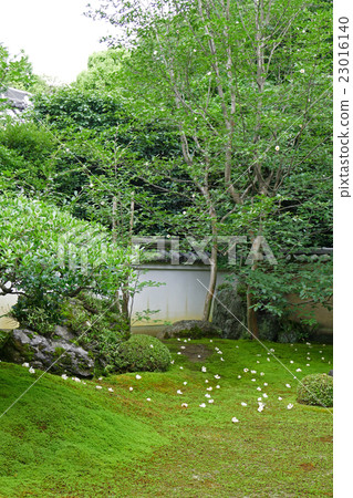 SaulSōkiToorobuin的花園 SaulSōkiToorobuin的花園 23016140