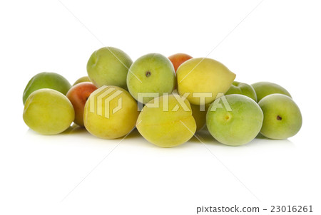fresh young apricot on white background 23016261