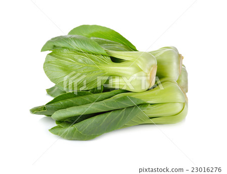 fresh baby Bok choy (Chinese cabbage) on white fresh baby Bok choy (Chinese cabbage) on white 23016276
