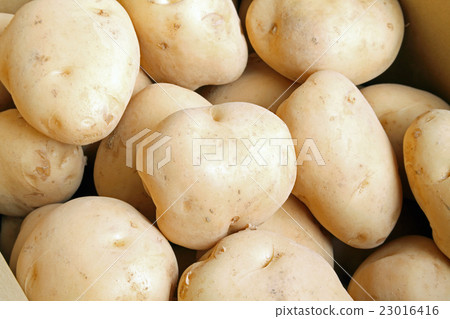 Potatoes, barons, boxed 23016416
