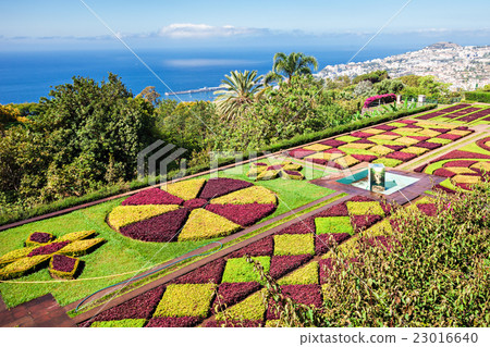 Botanical Gardens Madeira 23016640