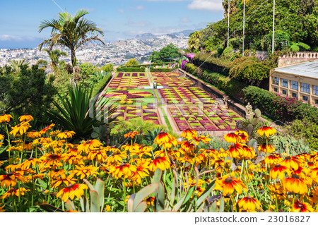 Botanical Gardens Madeira 23016827