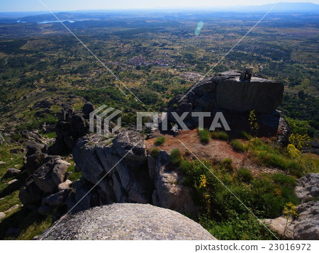 孟山都葡萄牙孟山都村 23016972