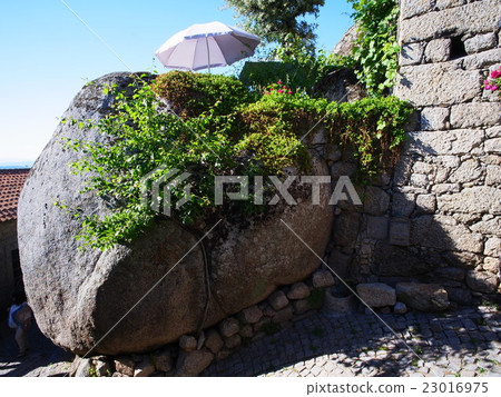 孟山都葡萄牙孟山都村 孟山都葡萄牙孟山都村 23016975