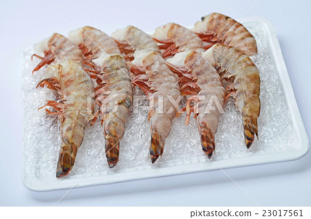 Prawn frozen car (thawing) 23017561