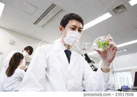 研究科學生物科學實驗科學家化學家 23017606