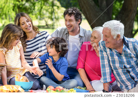 Smiling family having a picnic Smiling family having a picnic 23018206