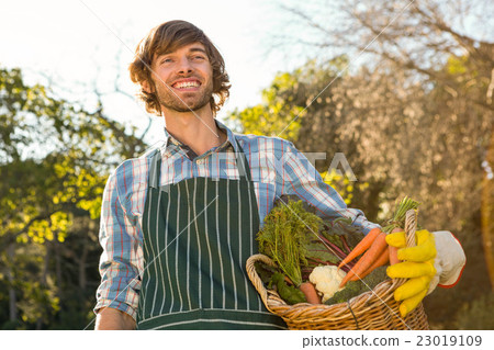 Gardener man holding a basket of vegetables 23019109