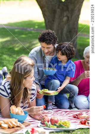 Smiling family having a picnic 23019814