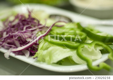 cabbage and green pepper salad 23020238
