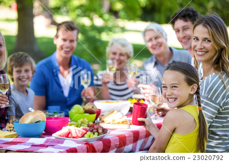 Family and friends having a picnic 23020792