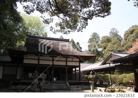 Mitsuji Mitsuji 23021633