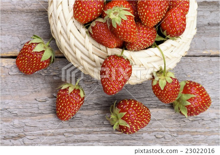 Forest Strawberries 23022016
