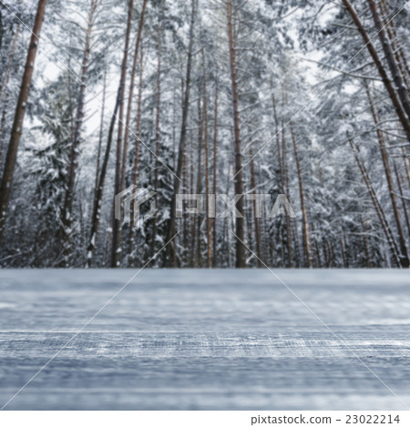 Perspective blurry winter background with forest Perspective blurry winter background with forest 23022214