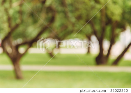 Garden alley bokeh background, lens blur Garden alley bokeh background, lens blur 23022230