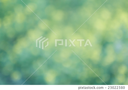 Yellow green floral bokeh background, lens blur 23022380