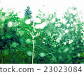 View of green rain 23023084