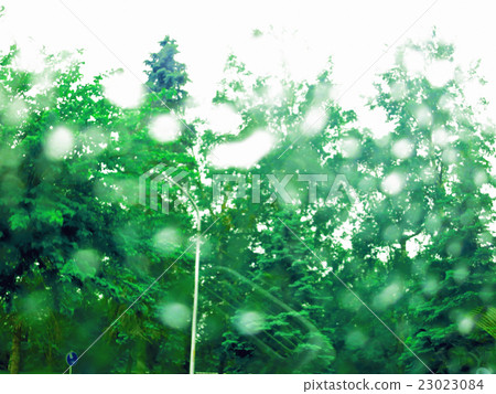 綠色雨視圖 綠色雨視圖 23023084