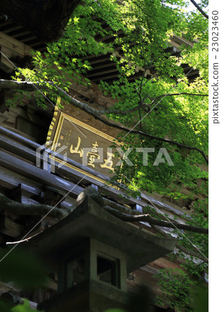 四國神社平台31號佛教寺院“Wakutsan山竹寺”Yamamon(Niben門) 四國神社平台31號佛教寺院“Wakutsan山竹寺”Yamamon(Niben門) 23023460