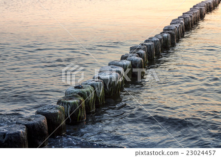 overgrown groin at sunset overgrown groin at sunset 23024457