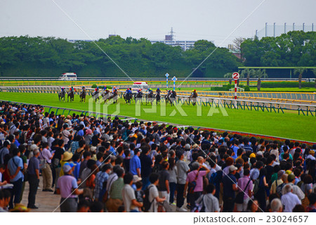 Tokyo Racecourse 23024657