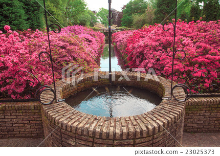 Tulip field in Keukenhof Gardens, Lisse Tulip field in Keukenhof Gardens, Lisse 23025373