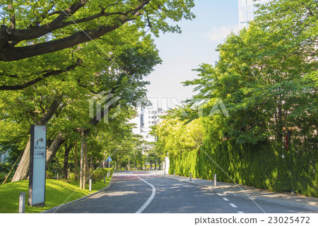 Cherry blossom passing through the west side of Akasaka Sacas (Minato-ku, Tokyo) Cherry blossom passing through the west side of Akasaka Sacas (Minato-ku, Tokyo) 23025472