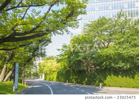 櫻花穿過赤坂Sacas(東京都港區)的西側 櫻花穿過赤坂Sacas(東京都港區)的西側 23025473