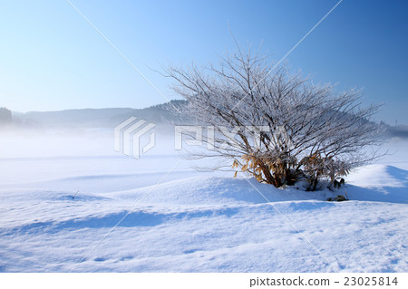 仲冬鄉村 23025814