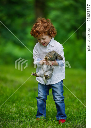 little boy with rabbit on grass little boy with rabbit on grass 23025857
