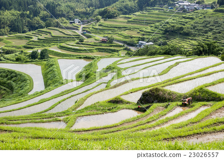 Inner rice terrace 23026557