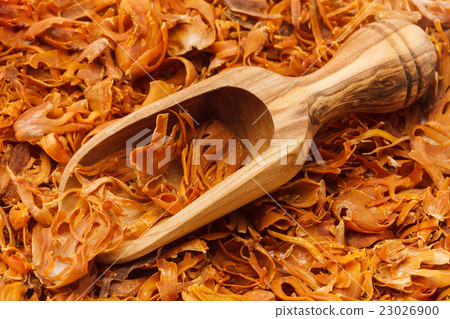 梅斯（印度） 23026900