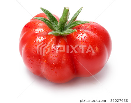 Ripe heirloom Tomatoes on vine, Togorific variety Ripe heirloom Tomatoes on vine, Togorific variety 23027688