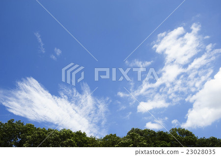 藍天藍天和白色雲彩背景圖像估計的大廈完成珀斯材料新的綠色森林遙遠的看法水平的屏幕 23028035