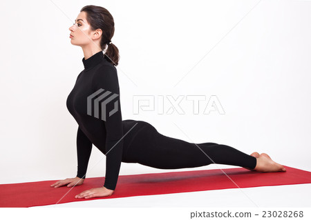 girl doing yoga.Urdhva Mukha Svanasana girl doing yoga.Urdhva Mukha Svanasana 23028268