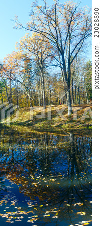 Pond in autumn park. 23028890