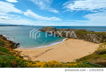 Blossoming ocean coastline landscape. 23028938