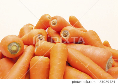 紅蘿蔔 23029124