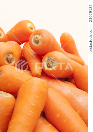 紅蘿蔔 23029125