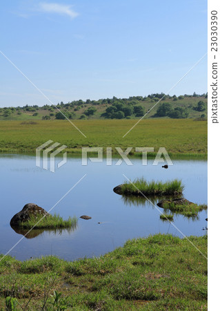 Venus Line Kirigamine Yashimagahara Wetland 23030390