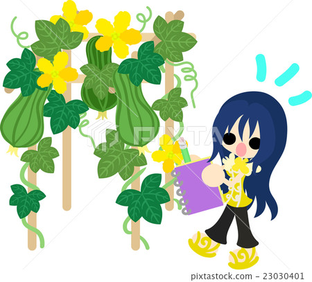  觀察夏天的記憶和絲瓜 23030401