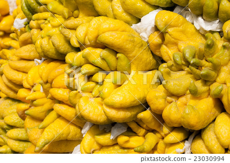Bush Kang (Buddhist curtain) to make a offering of Vietnamese Tet (Lunar New Year) 23030994