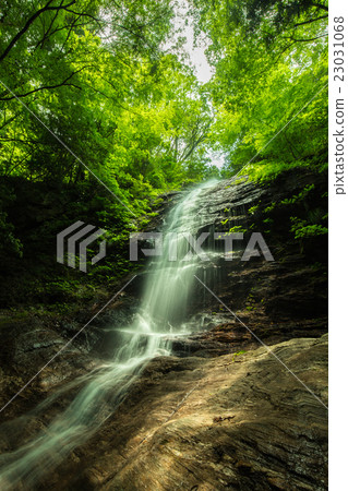 Waterfall and fresh green (Oiwaru waterfall in Saijo city Ehime prefecture) 23031068