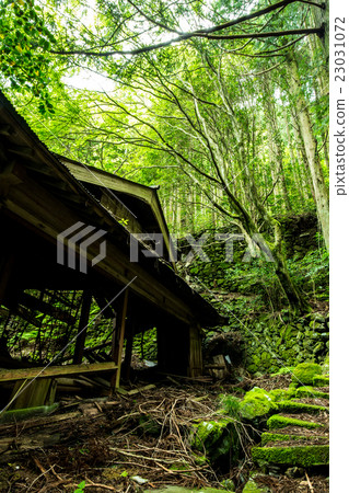 被遺棄的房子在森林里站立 23031072