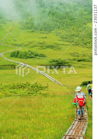 孩子們的Oze徒步旅行 孩子們的Oze徒步旅行 23031137