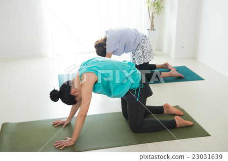 Women who do yoga (cat stretch) 23031639