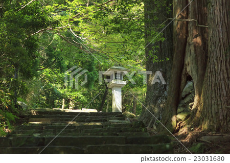 野の道 なんでボクイナイノォー！？