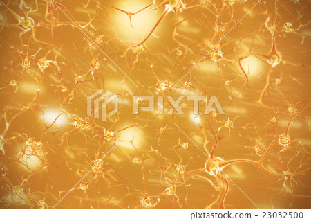 Nervous system 3d illustration of brain cells Nervous system 3d illustration of brain cells 23032500