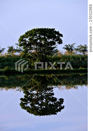 A water glass A water glass 23032868
