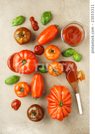 Tomatoes for tomato ketchup Tomatoes for tomato ketchup 23033311